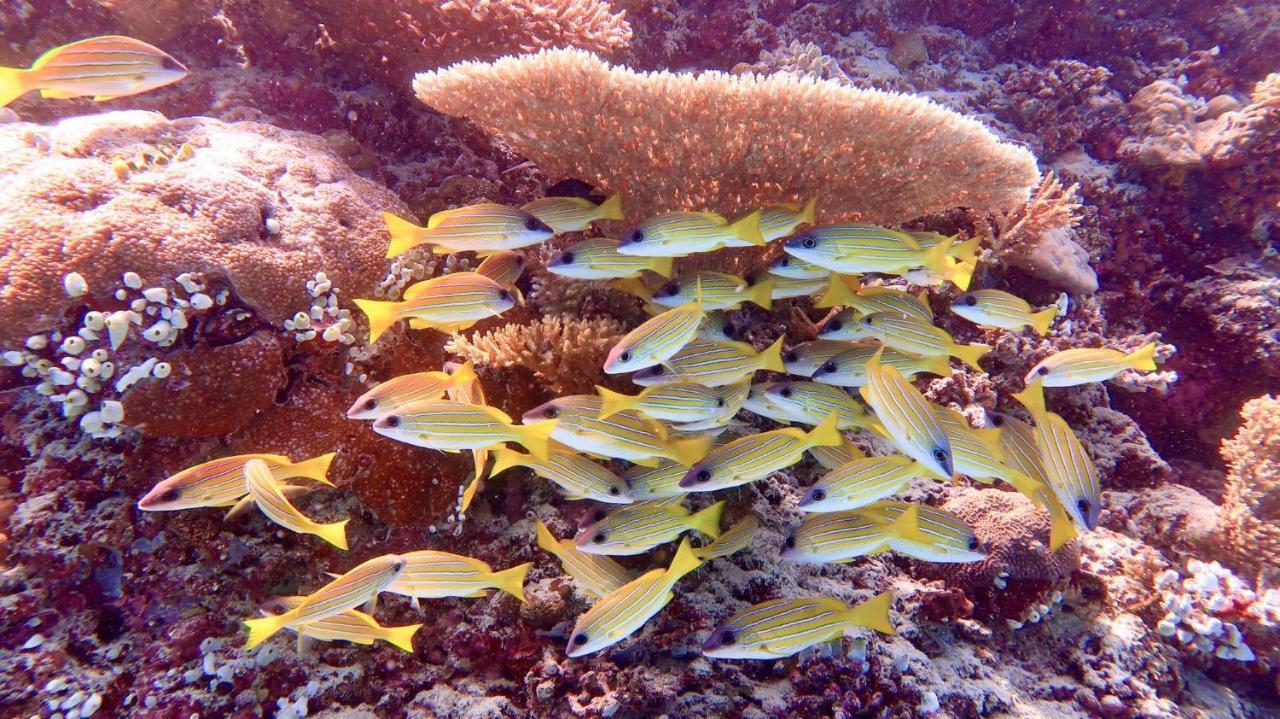 Wow Inn Keyodhoo Keyodhoo  Kültér fotó