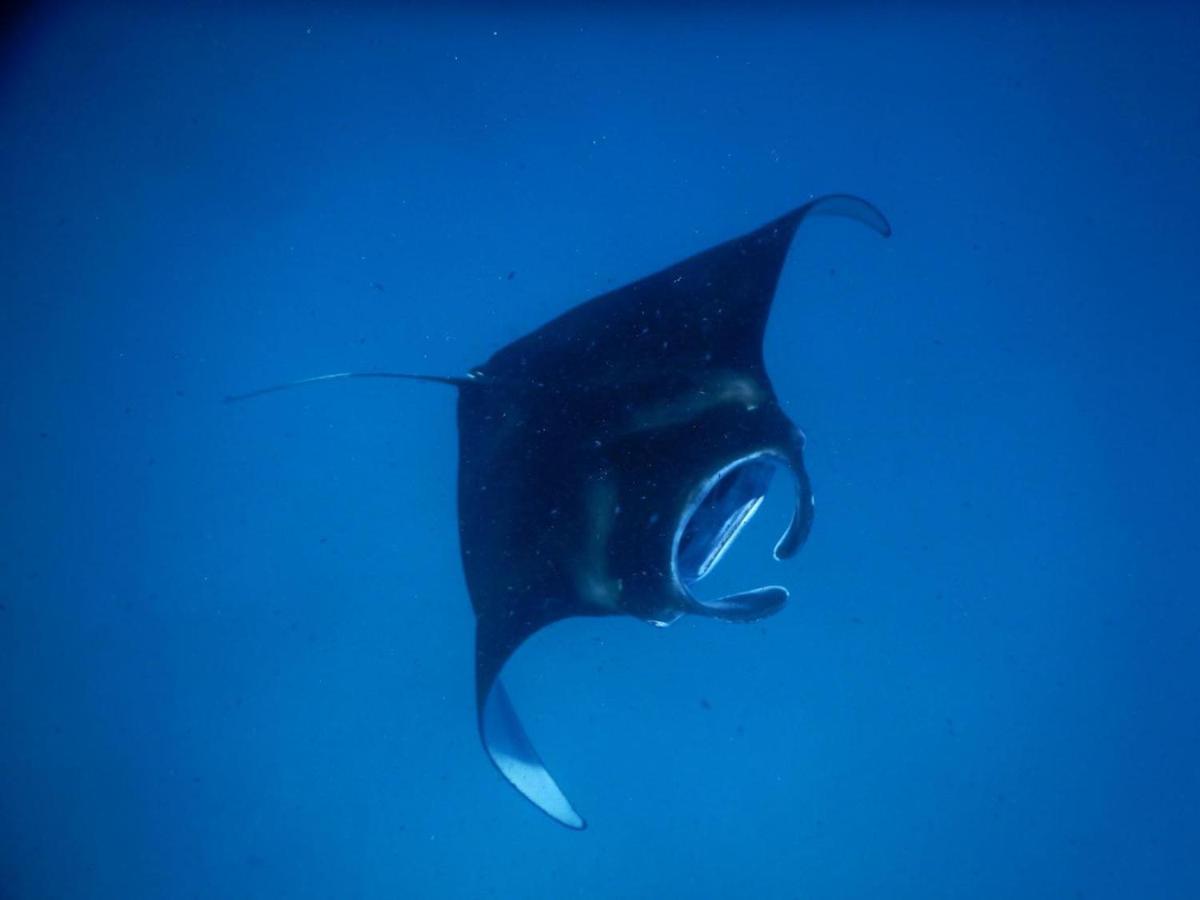 Wow Inn Keyodhoo Keyodhoo  Kültér fotó